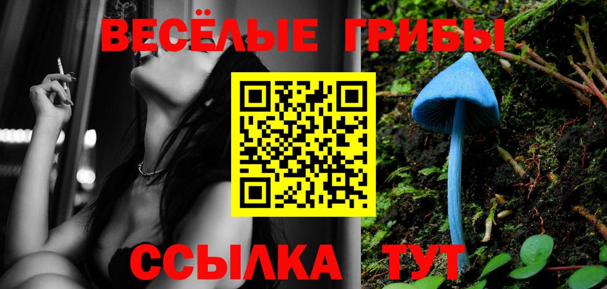Псилоцибиновые грибы Magic Shrooms  Вход с VPN  Югорск  Псилоцибиновые грибы ЛСД 