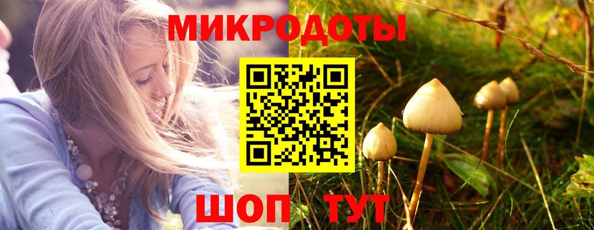 Псилоцибиновые грибы MAGIC MUSHROOMS Югорск